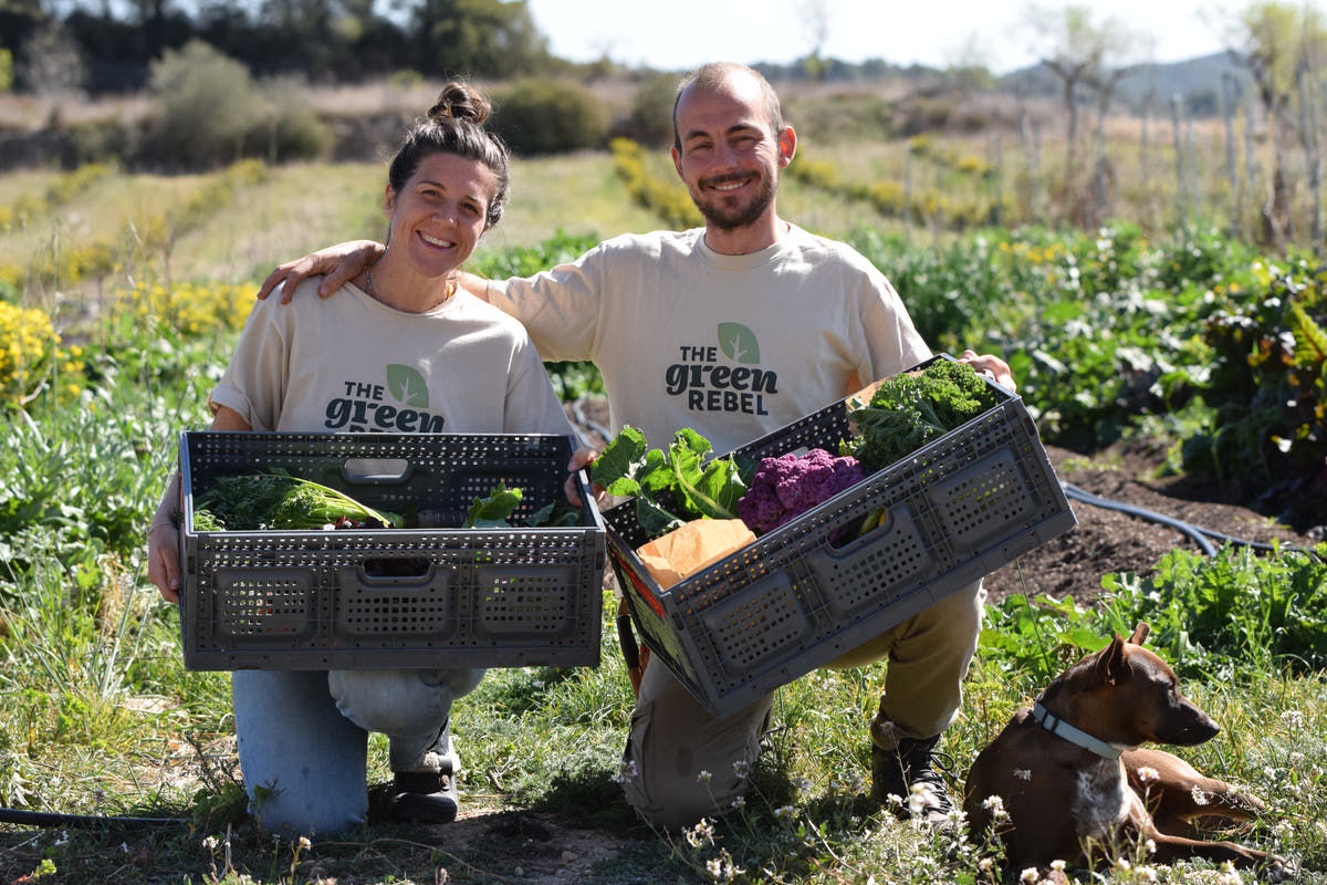 Two people holding crates of vegetables in a field with a dog.