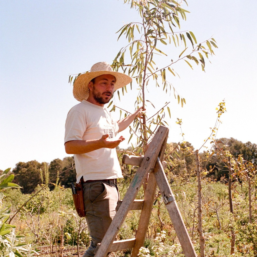 25/9 - 27/9 Syntropic Farming Weekend: Hands in the Soil, Hiking & Swimming