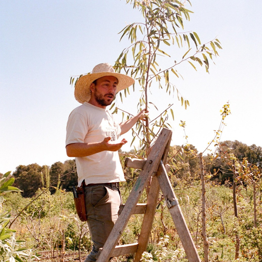 25/9 - 27/9 Syntropic Farming Weekend: Hands in the Soil, Hiking & Swimming