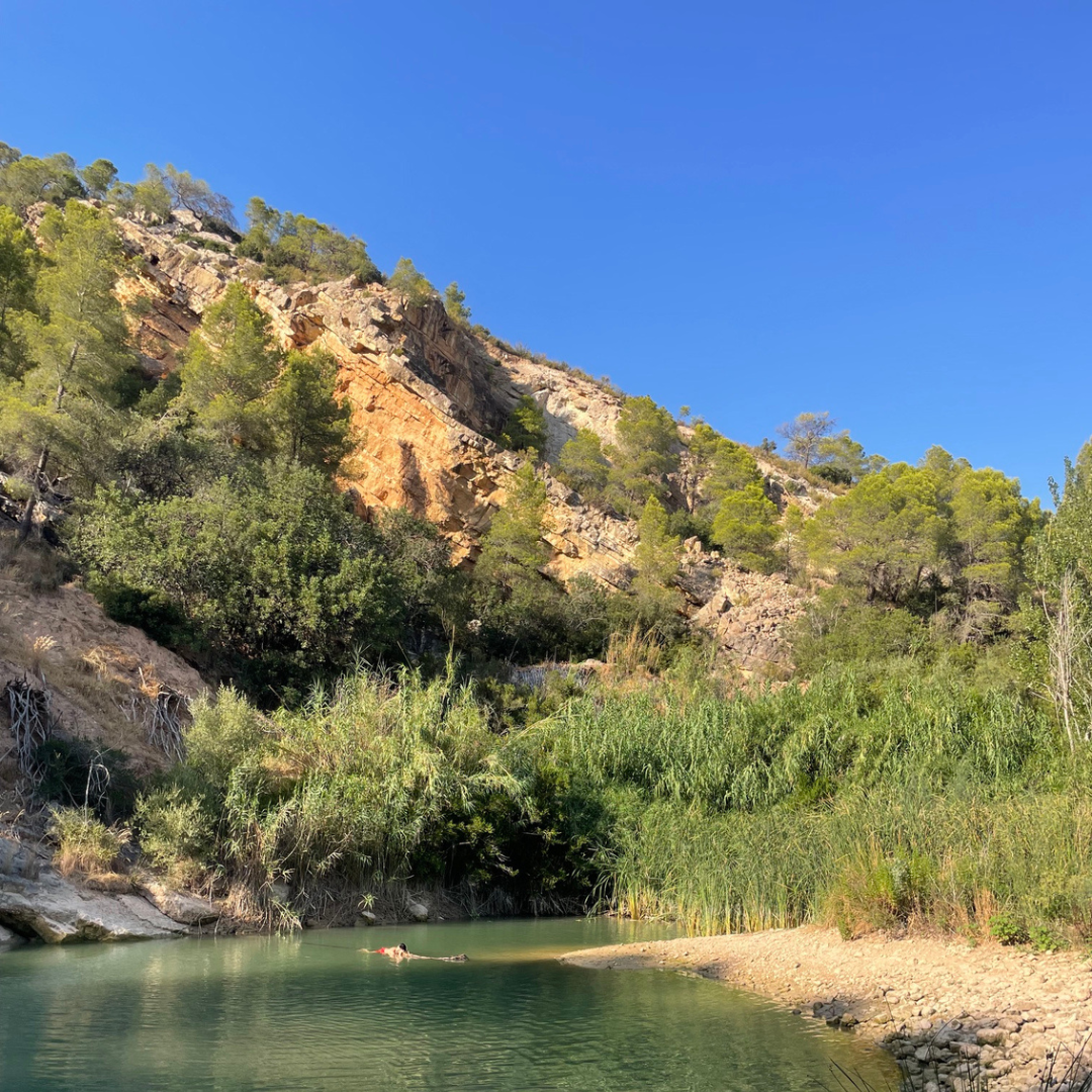 25/9 - 27/9 Syntropic Farming Weekend: Hands in the Soil, Hiking & Swimming