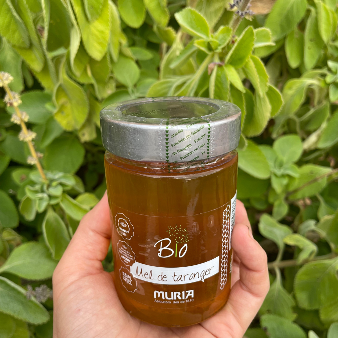 Orange Blossom Honey