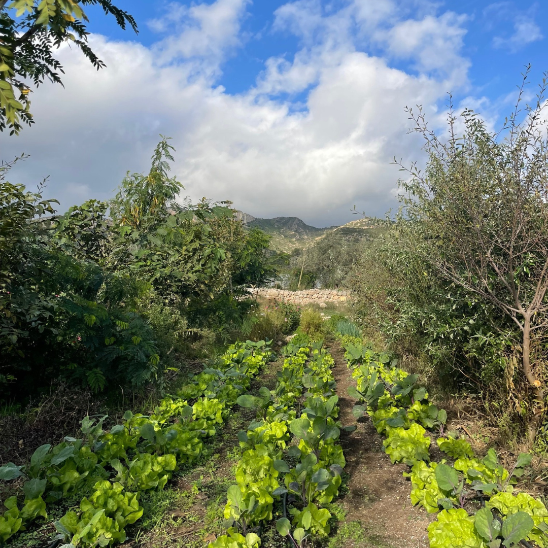Farm to Table October 24