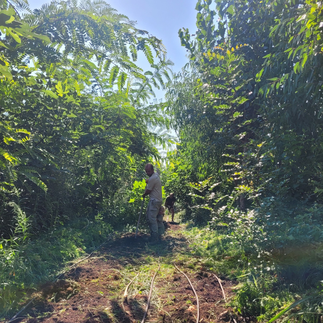 25/9 - 27/9 Syntropic Farming Weekend: Hands in the Soil, Hiking & Swimming