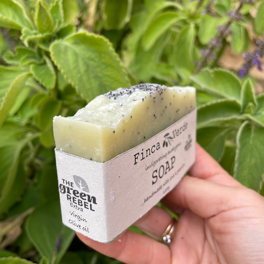 Eucalyptus & poppy seeds