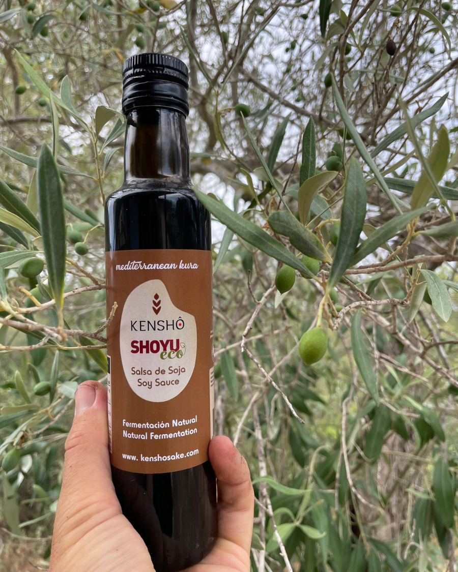 Bottle of Kensho Shoyu soy sauce held in front of an olive tree